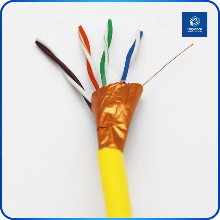 Factory Price Cat5e FTP Network Cable 305m - Raycom - 图片 4