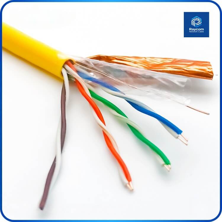 Factory Price Cat5e FTP Network Cable 305m - Raycom - 图片 3