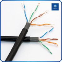Outdoor Copper Cat5E UTP Unshielded PE 305m 1000ft Network Lan Cable - Raycom