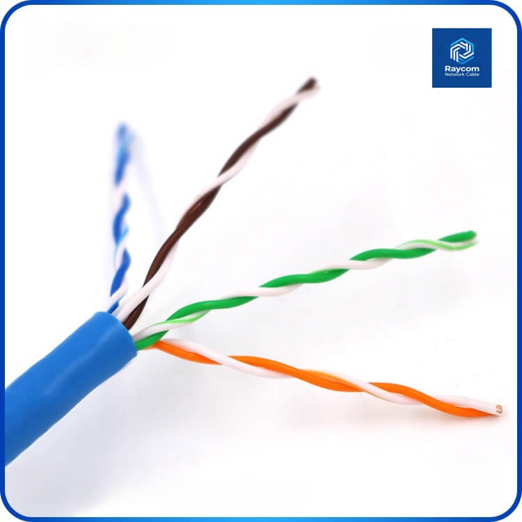 Solid Copper Cat5E Unshielded UTP PVC Lan Ethernet Cable 305m - Raycom - 图片 3