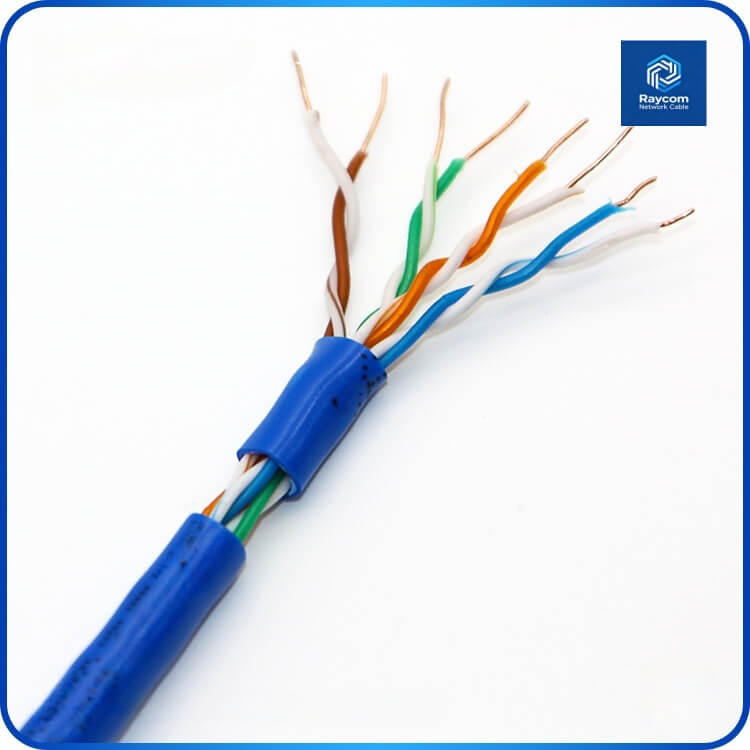 Solid Copper Cat5E Unshielded UTP PVC Lan Ethernet Cable 305m - Raycom - 图片 4