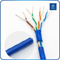 Solid Copper Cat5E Unshielded UTP PVC Lan Ethernet Cable 305m - Raycom