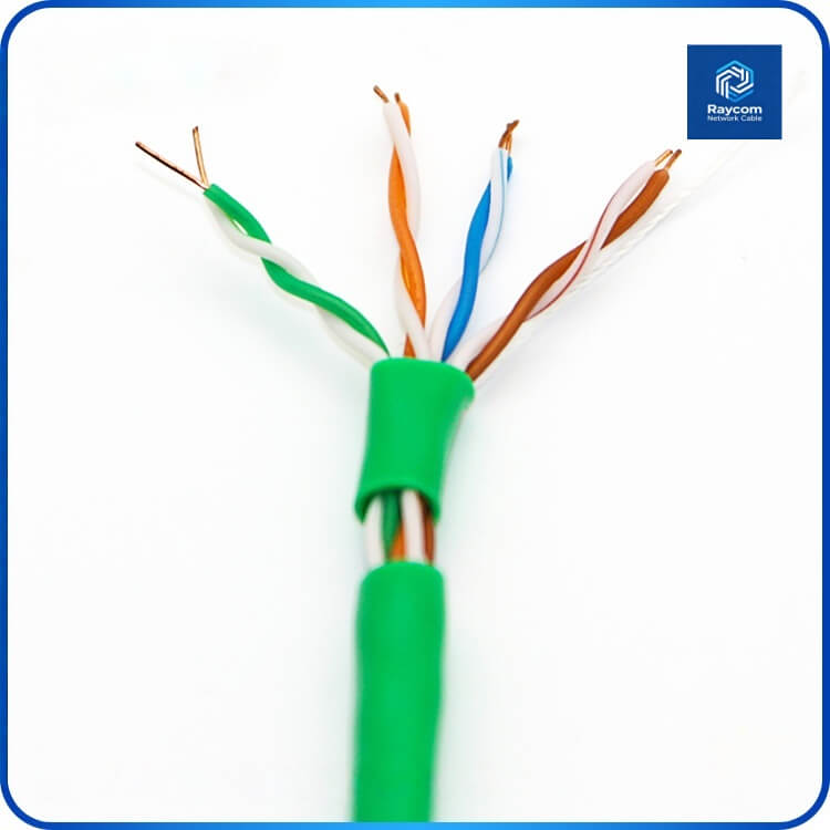 Stable Transmission UTP Cat5e Network Cable 305m - Raycom - 图片 2