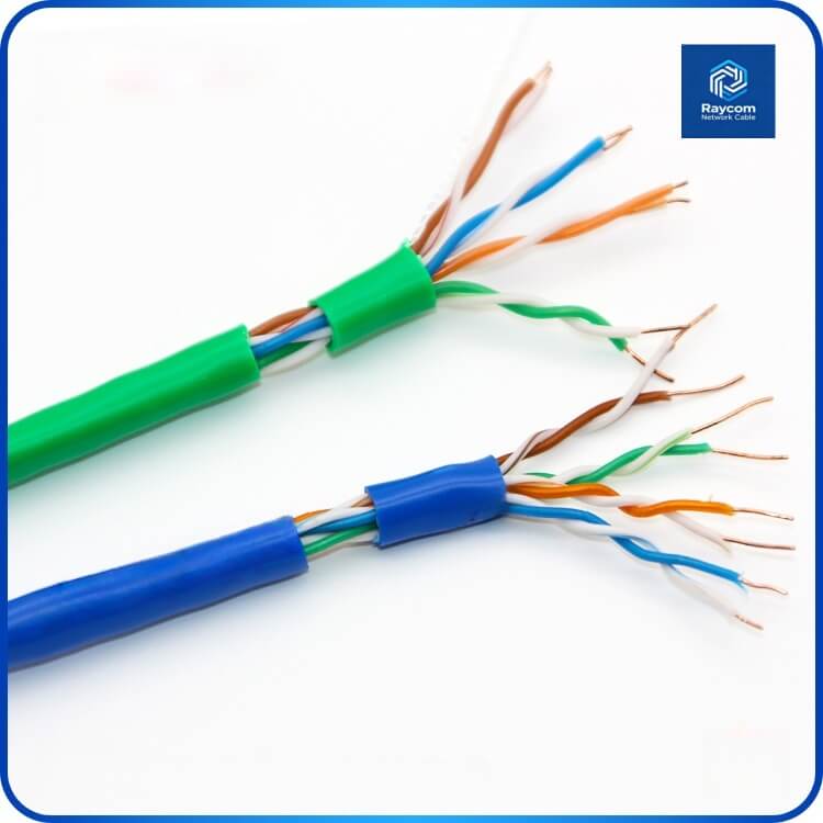 Stable Transmission UTP Cat5e Network Cable 305m - Raycom - 图片 3