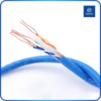 High Speed Transmission UTP Cat6 Network Cable 305m - Raycom