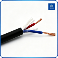 Flexible PVC Sheath 2 Core Bare Copper Power Cable Cord for LED & CCTV - Raycom