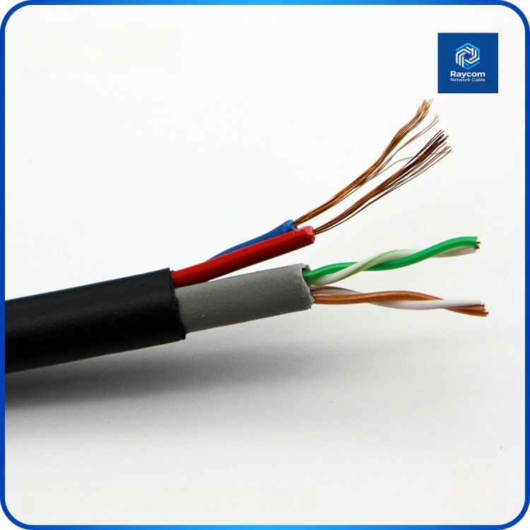 Outdoor UTP 4+2 Siamese Network Cable Unshielded Cat5e LAN Cable Cat6 Communication Cables for Sale - Raycom - 图片 2
