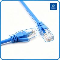 Ethernet LAN Network Patch Cord with RJ45 - Raycom